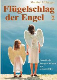 bokomslag Flgelschlag der Engel - Band 2