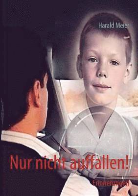 Harald J Meier, Harald J. Meier - Nur nicht auffallen!, Häftad