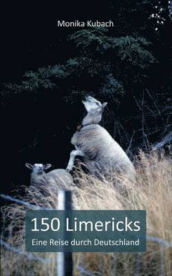 150 Limericks