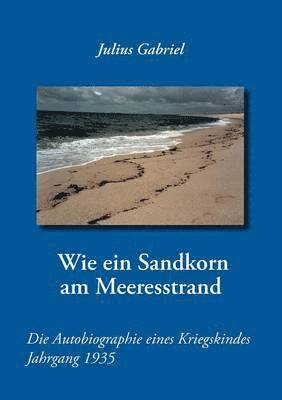 bokomslag Wie ein Sandkorn am Meeresstrand