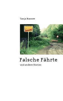 bokomslag Falsche Fährte