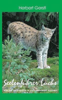 bokomslag Seelenführer Luchs