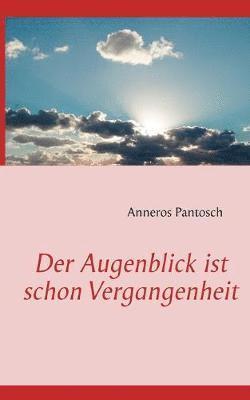 Anneros Pantosch - Augenblick ist schon Vergangenheit, Häftad