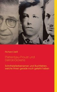 bokomslag Plattenbau-Proust und Detroit-Dickens