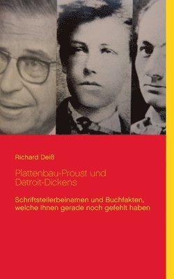Richard Deiß - Plattenbau-Proust und Detroit-Dickens, Häftad