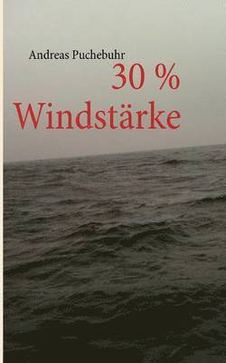 Andreas Puchebuhr - 30 % Windstärke, Häftad