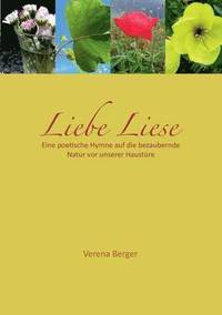 bokomslag Liebe Liese