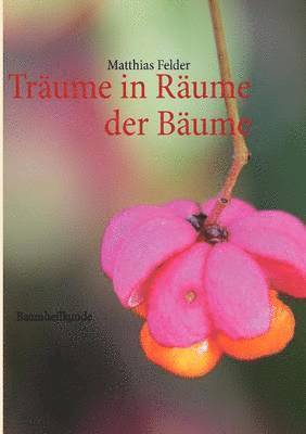 bokomslag Träume in Räume der Bäume
