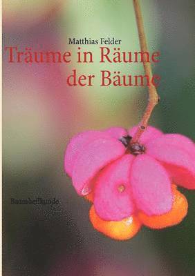 Traume in Raume der Baume 1