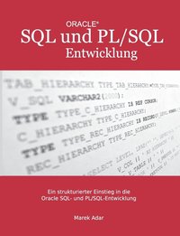 bokomslag Ein strukturierter Einstieg in die Oracle SQL und PL/SQL-Entwicklung