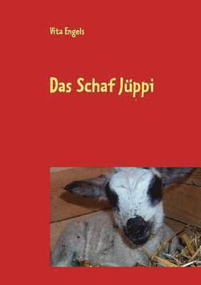 Das Schaf Jppi 1