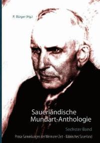 bokomslag Sauerlndische Mundart-Anthologie VI