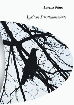 Lyrische Schattenmomente 1