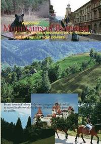 bokomslag Mountains of Romania