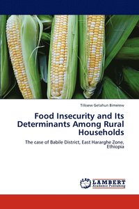 bokomslag Food Insecurity and Its Determinants Among Rural Households
