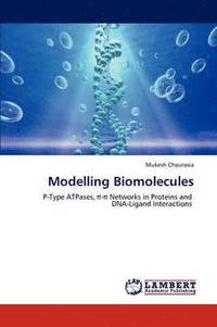 bokomslag Modelling Biomolecules