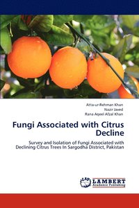 bokomslag Fungi Associated with Citrus Decline