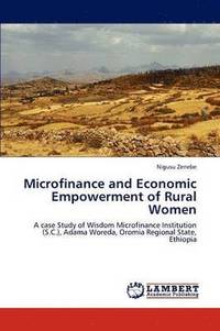 bokomslag Microfinance and Economic Empowerment of Rural Women