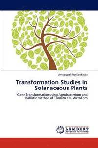 bokomslag Transformation Studies in Solanaceous Plants