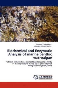bokomslag Biochemical and Enzymatic Analysis of Marine Benthic Macroalgae