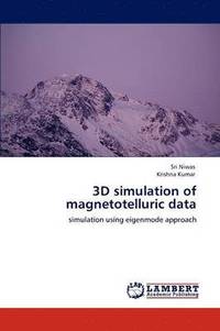 bokomslag 3D Simulation of Magnetotelluric Data