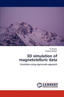 3D Simulation of Magnetotelluric Data 1