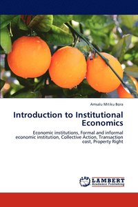 bokomslag Introduction to Institutional Economics