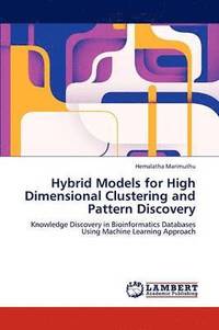 bokomslag Hybrid Models for High Dimensional Clustering and Pattern Discovery