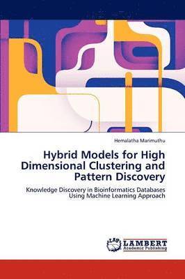 Hybrid Models for High Dimensional Clustering and Pattern Discovery 1