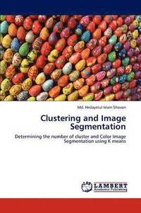 bokomslag Clustering and Image Segmentation
