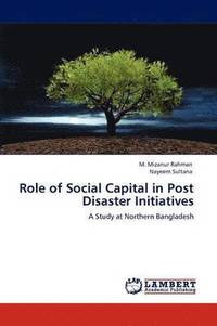 bokomslag Role of Social Capital in Post Disaster Initiatives