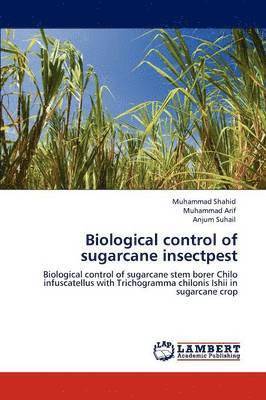 bokomslag Biological control of sugarcane insectpest