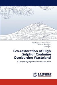 bokomslag Eco-restoration of High Sulphur Coalmine Overburden Wasteland