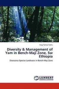 bokomslag Diversity & Management of Yam in Bench-Maji Zone, Sw Ethiopia