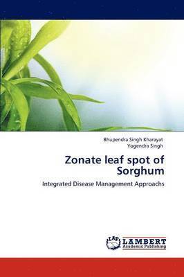 Zonate leaf spot of Sorghum 1