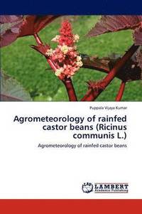 bokomslag Agrometeorology of rainfed castor beans (Ricinus communis L.)