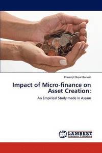 bokomslag Impact of Micro-finance on Asset Creation