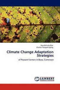 bokomslag Climate Change Adaptation Strategies