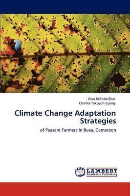 Climate Change Adaptation Strategies 1