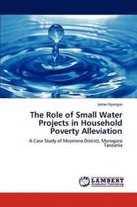 bokomslag The Role of Small Water Projects in Household Poverty Alleviation