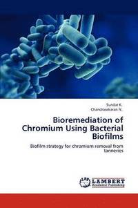 bokomslag Bioremediation of Chromium Using Bacterial Biofilms