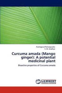 bokomslag Curcuma amada (Mango ginger)