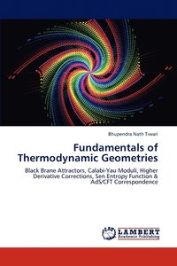 bokomslag Fundamentals of Thermodynamic Geometries