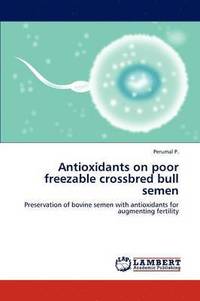 bokomslag Antioxidants on poor freezable crossbred bull semen