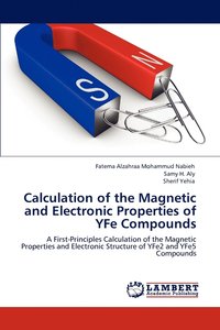 bokomslag Calculation of the Magnetic and Electronic Properties of YFe Compounds