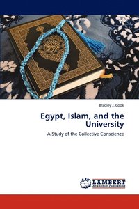 bokomslag Egypt, Islam, and the University