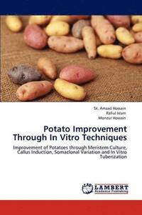 bokomslag Potato Improvement Through In Vitro Techniques