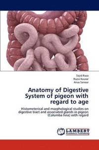 bokomslag Anatomy of Digestive System of pigeon with regard to age