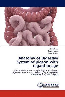 Anatomy of Digestive System of pigeon with regard to age 1