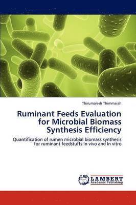 bokomslag Ruminant Feeds Evaluation for Microbial Biomass Synthesis Efficiency